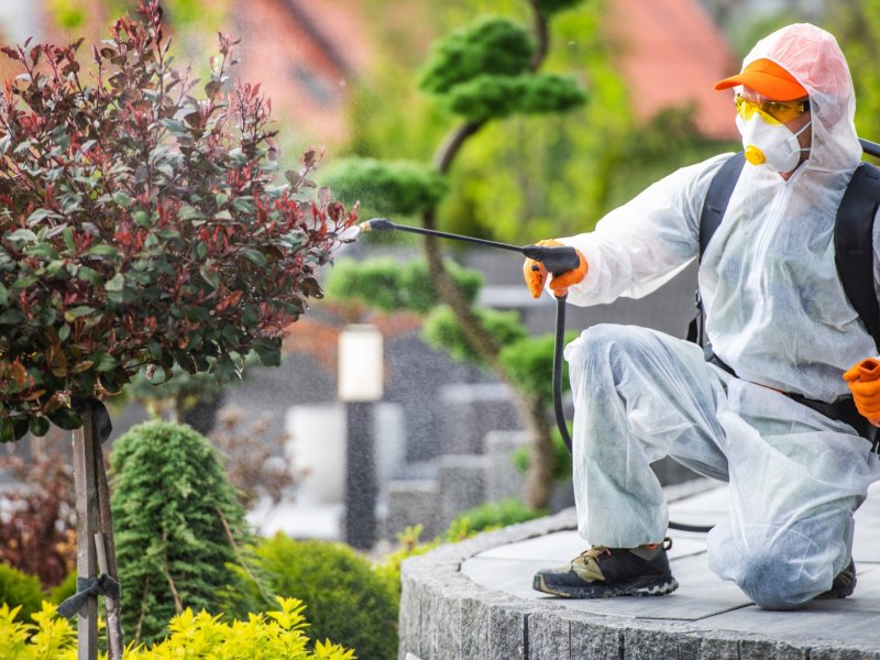 Çorlu Haşere İlaçlama